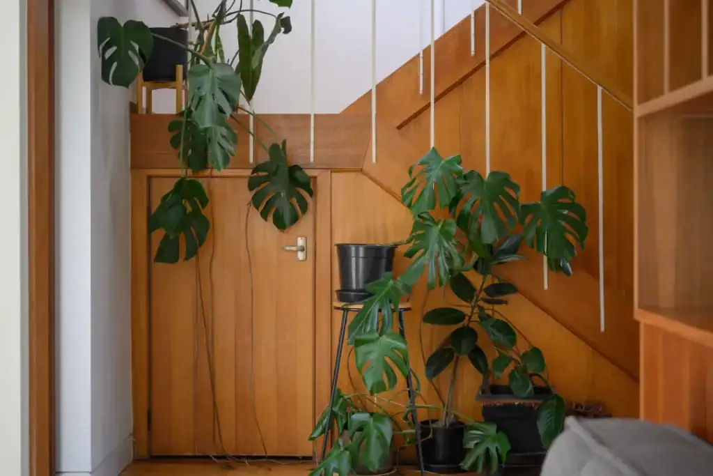 Custom Home Renovations Hobart